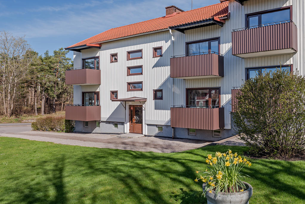 Mysig innergård