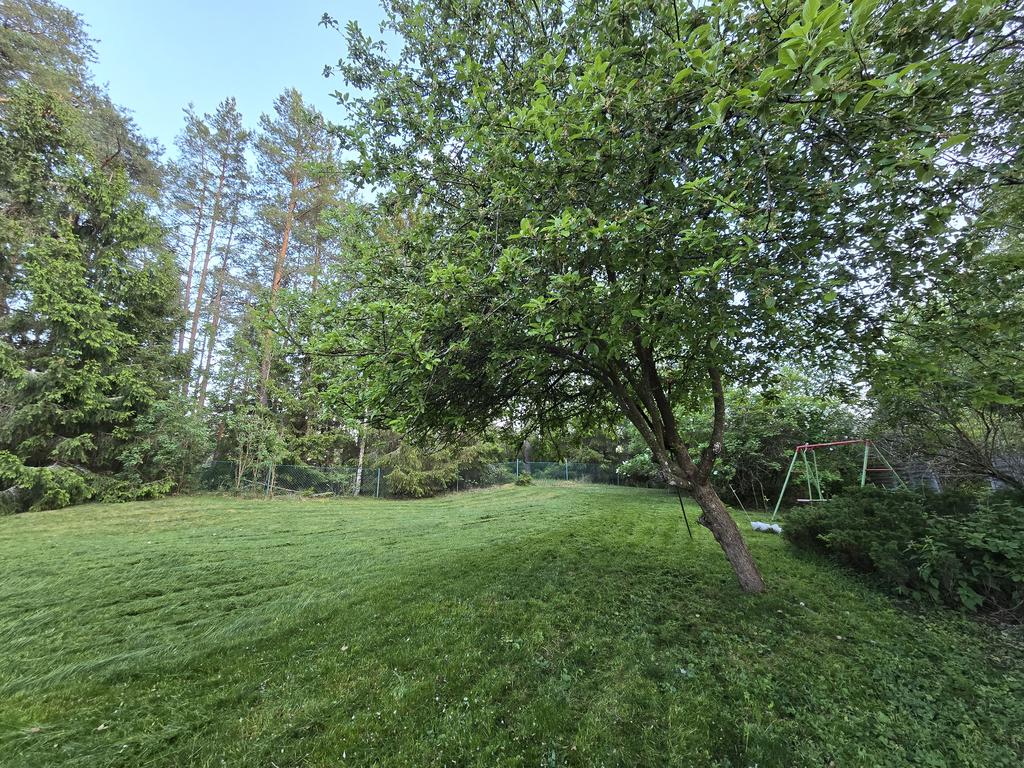 Sommar i trädgården (säljarens bild)