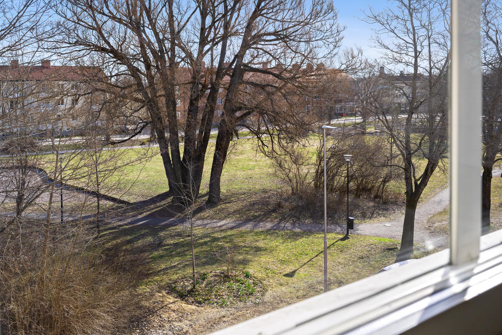 Utsikt över Soltorgsparken från köksfönstret.