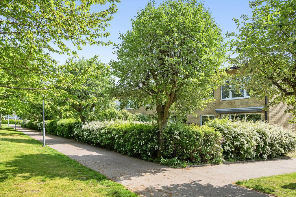 Föreningen erbjuder även de boende en boulebana, tennisbana och en bastu med motionsredskap och duschplats. På området finns även en övernattningslägenhet för anhöriga att låna utan kostnad med 6 sängplatser, pentry, toa och dusch. 