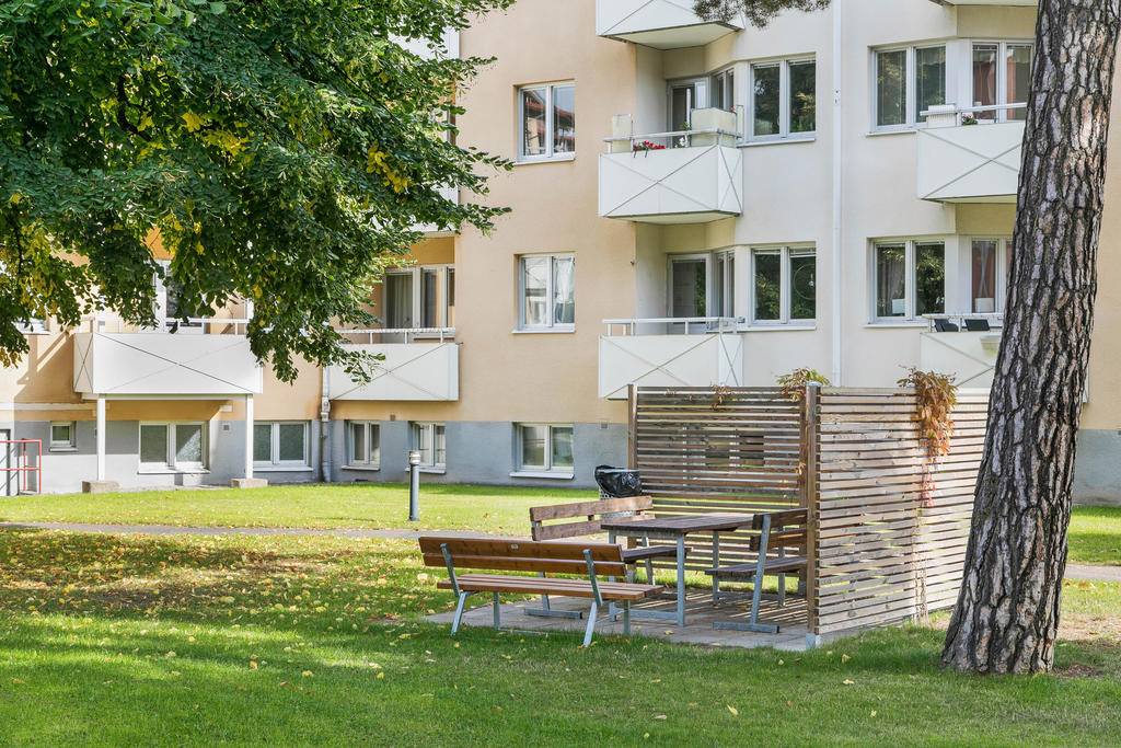 Gemensam uteplats i föreningen 
