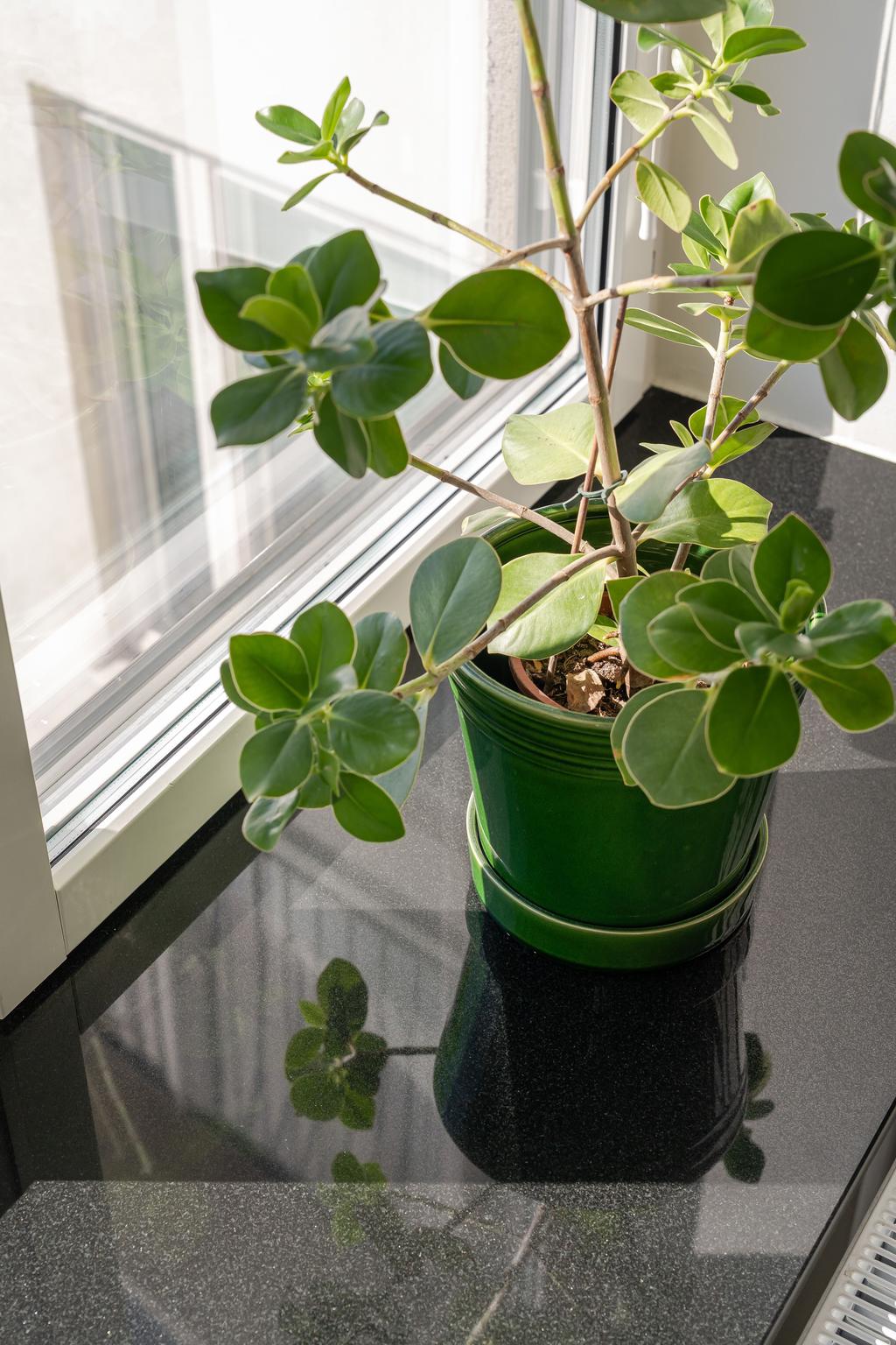 Fönsternisch med fönsterbräde i sten