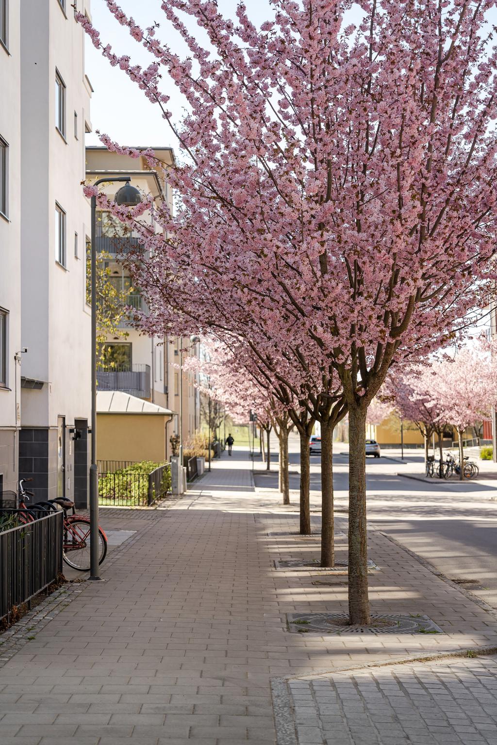 Trevlig omgivningar