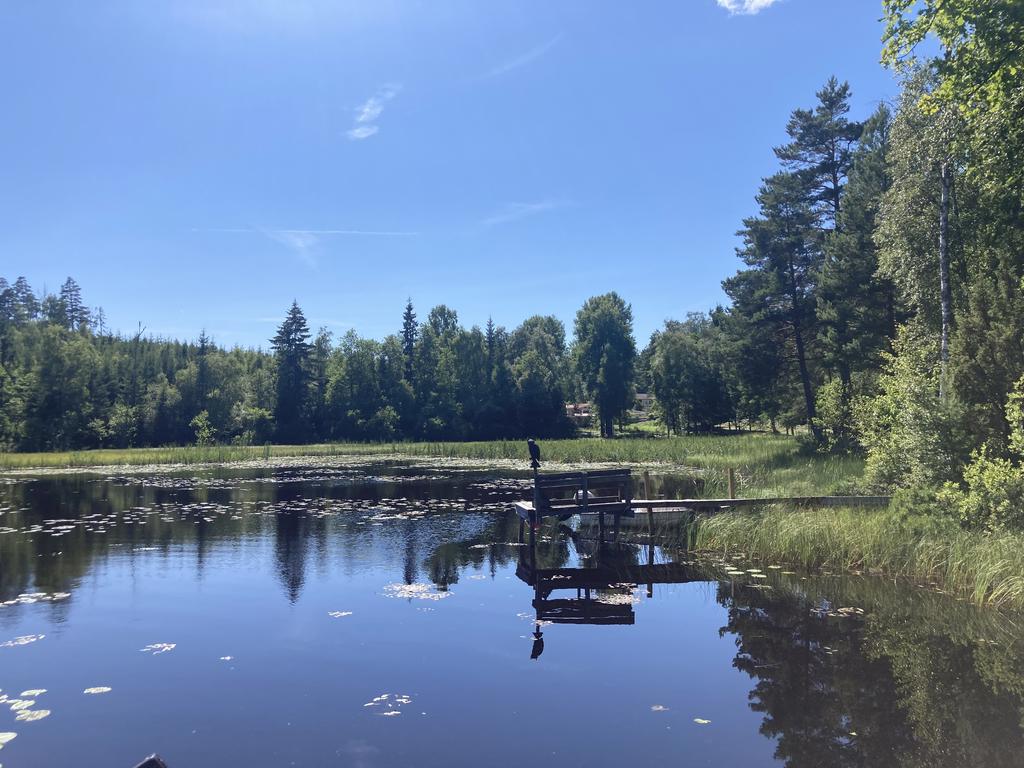 Sjön Sälgen återfinns bara några minuters promenad från stugan