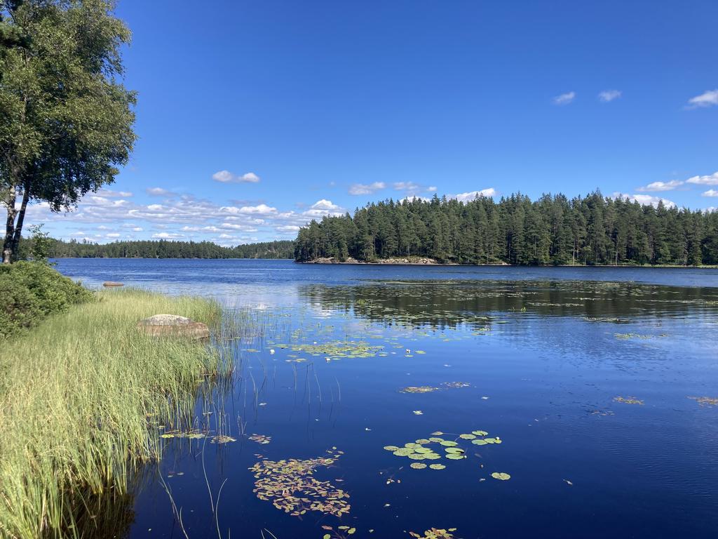 Det ingår en kanot med elmotor i köpet