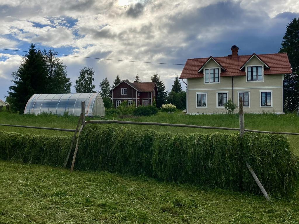 Säljarens egna bild