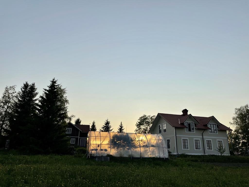 Säljarens egna bild