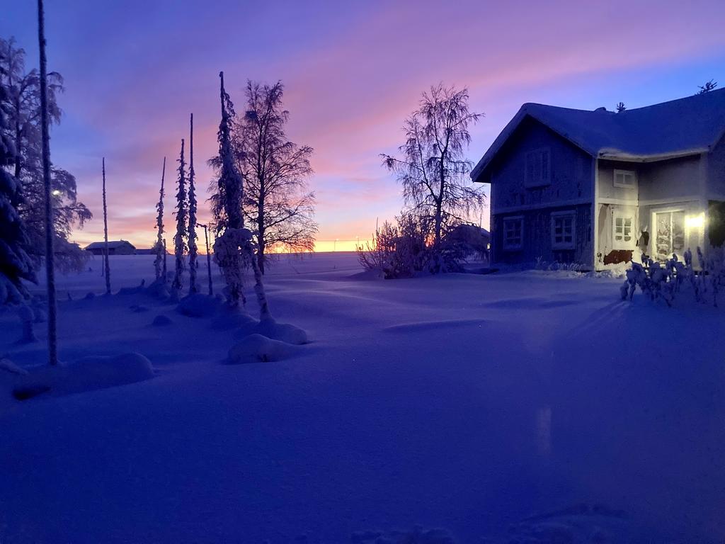 Säljarens egna bild