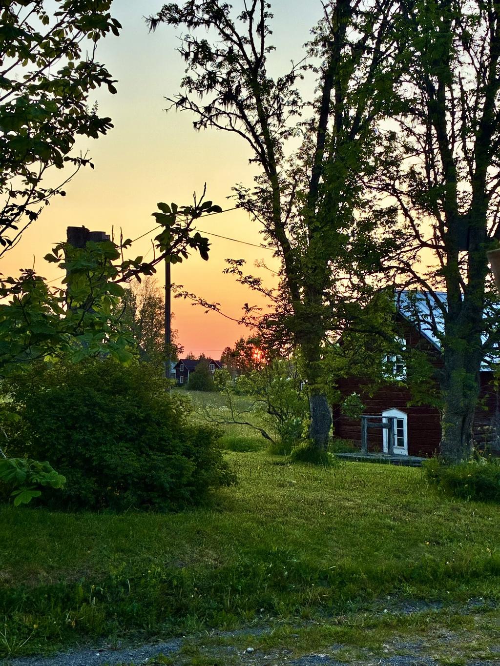 Säljarens egna bild