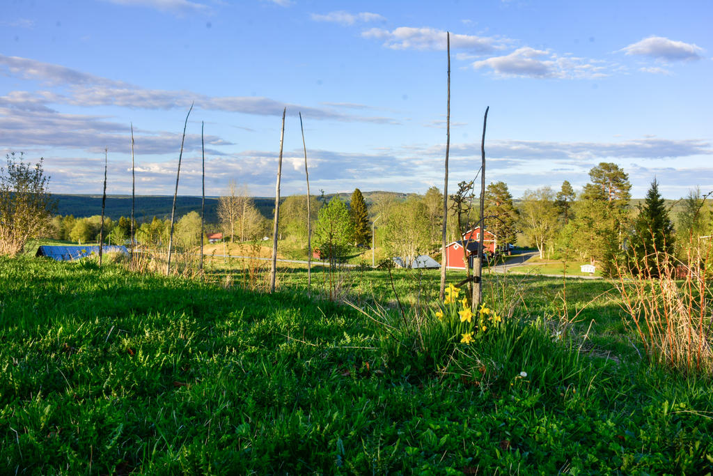 Säljarens egna bild