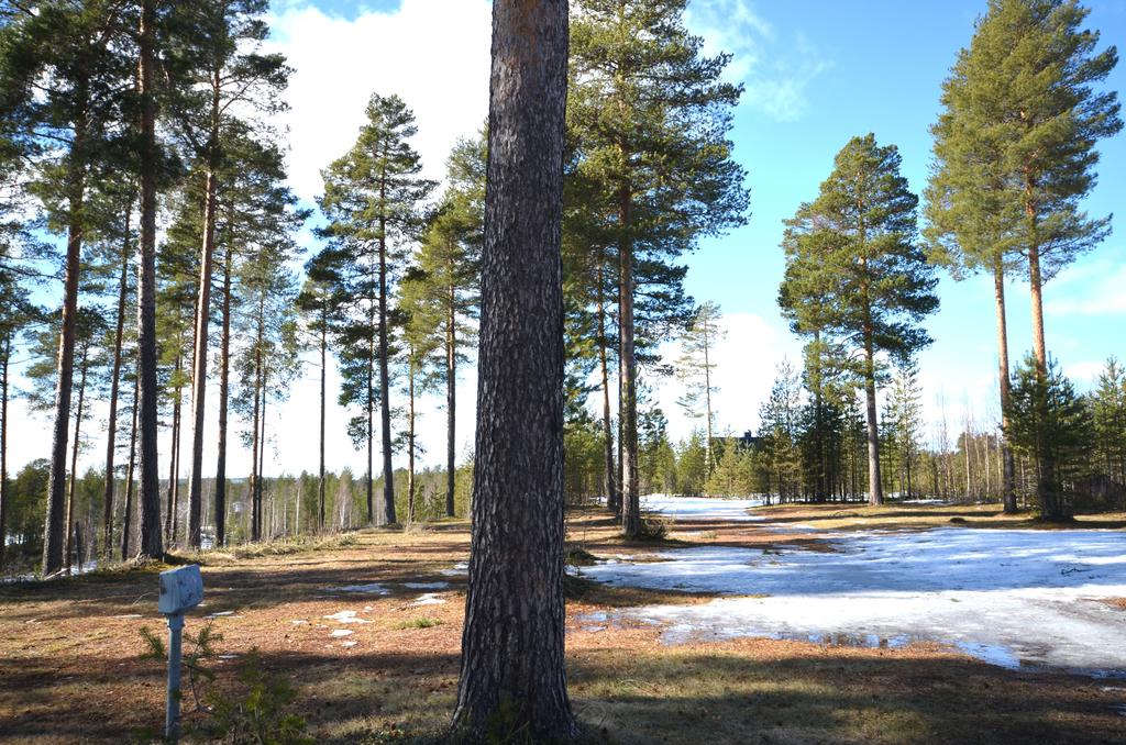Uppställningsplatser för husvagnar/husbilar