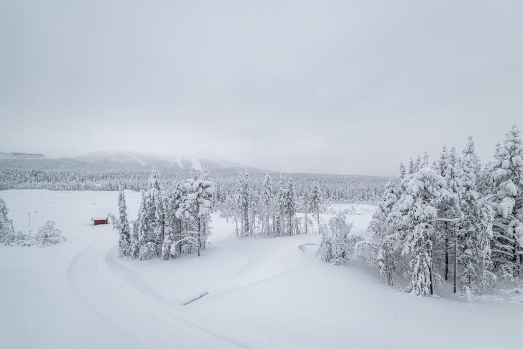 Skidspår utanför tomtgränsen
