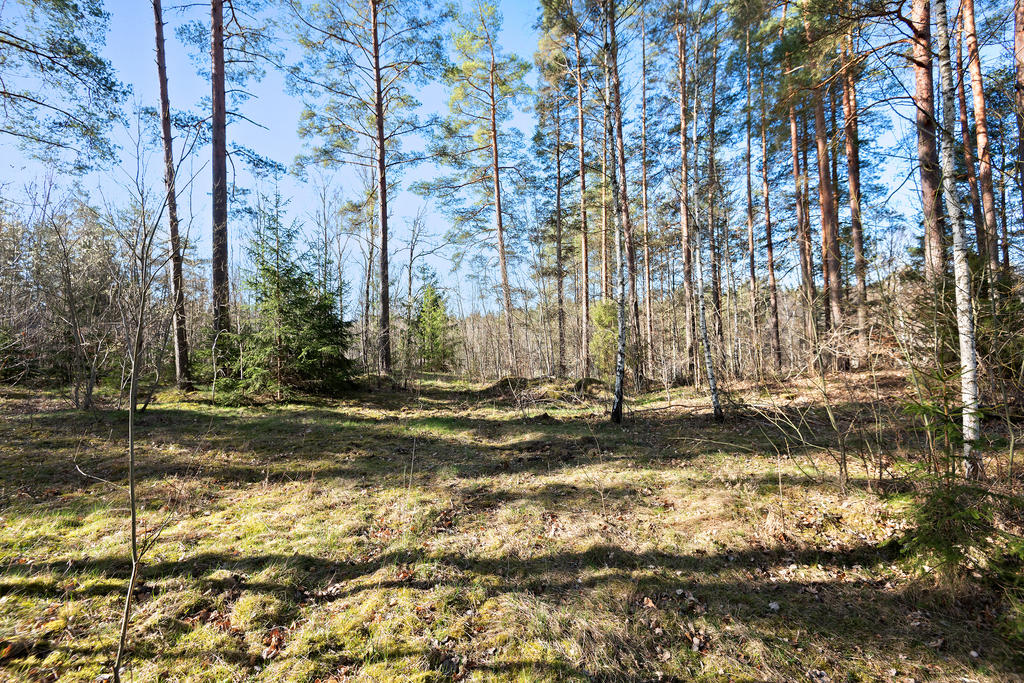 Mark på fastighet 1:34