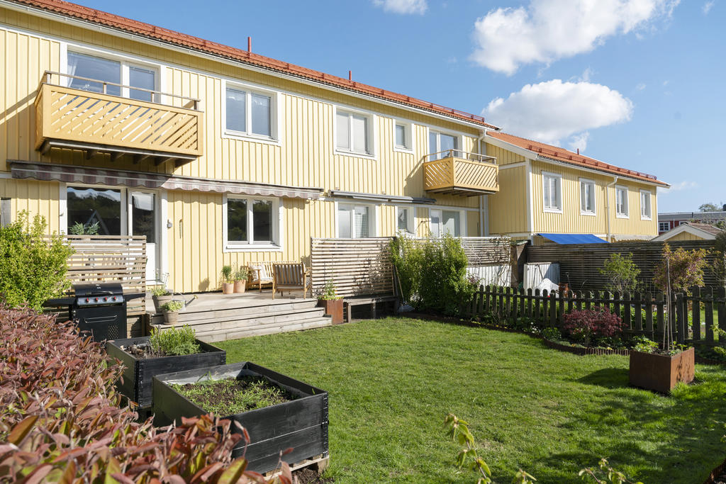 Grönskande trädgård med odlingslådor och härliga ytor