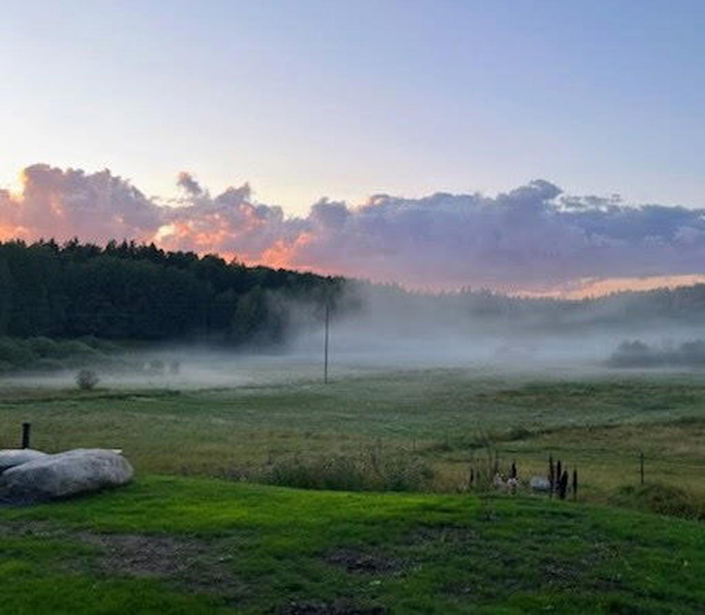 Säljarens egen bild från den vackra dalen i Kisala