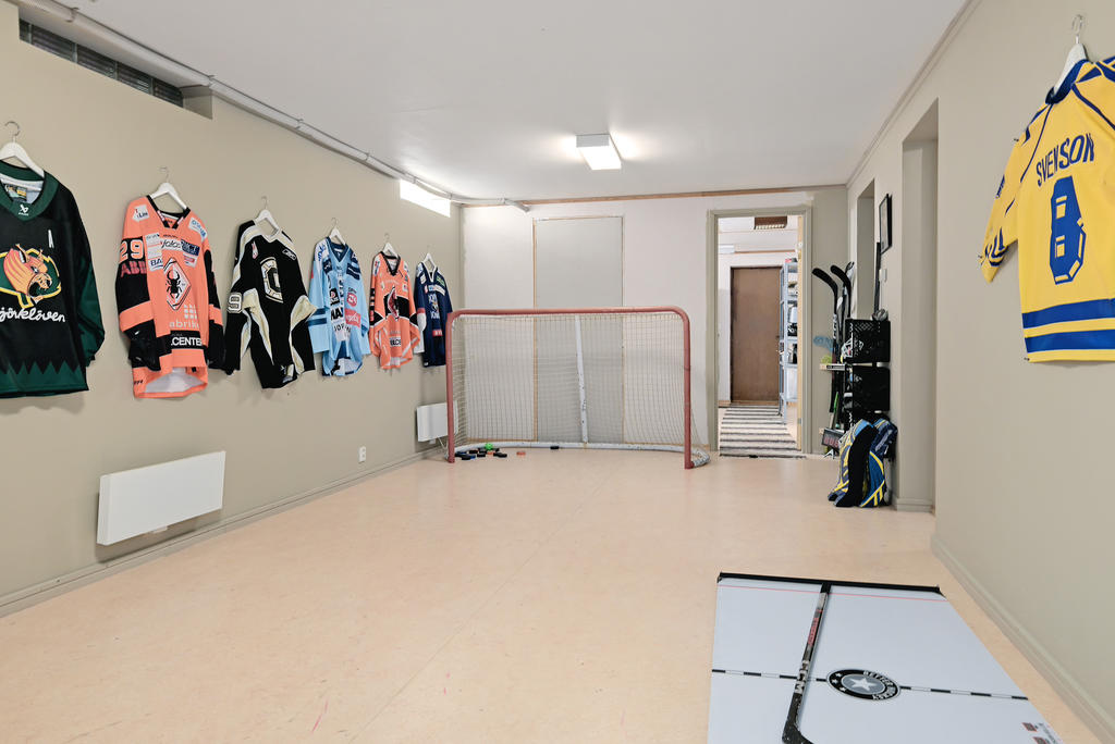 Lek/hobbyrum källarvånngen