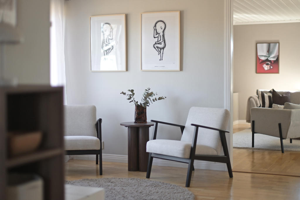 Avkopplande plats framför braskaminen