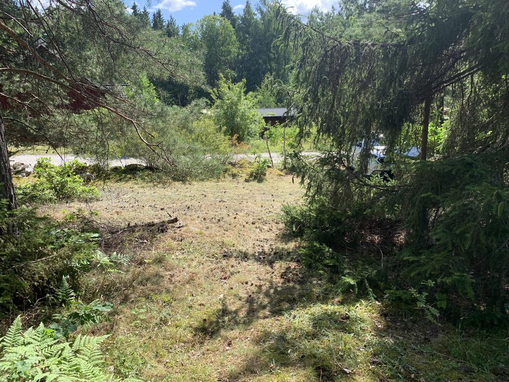 Säljarens sommarbild