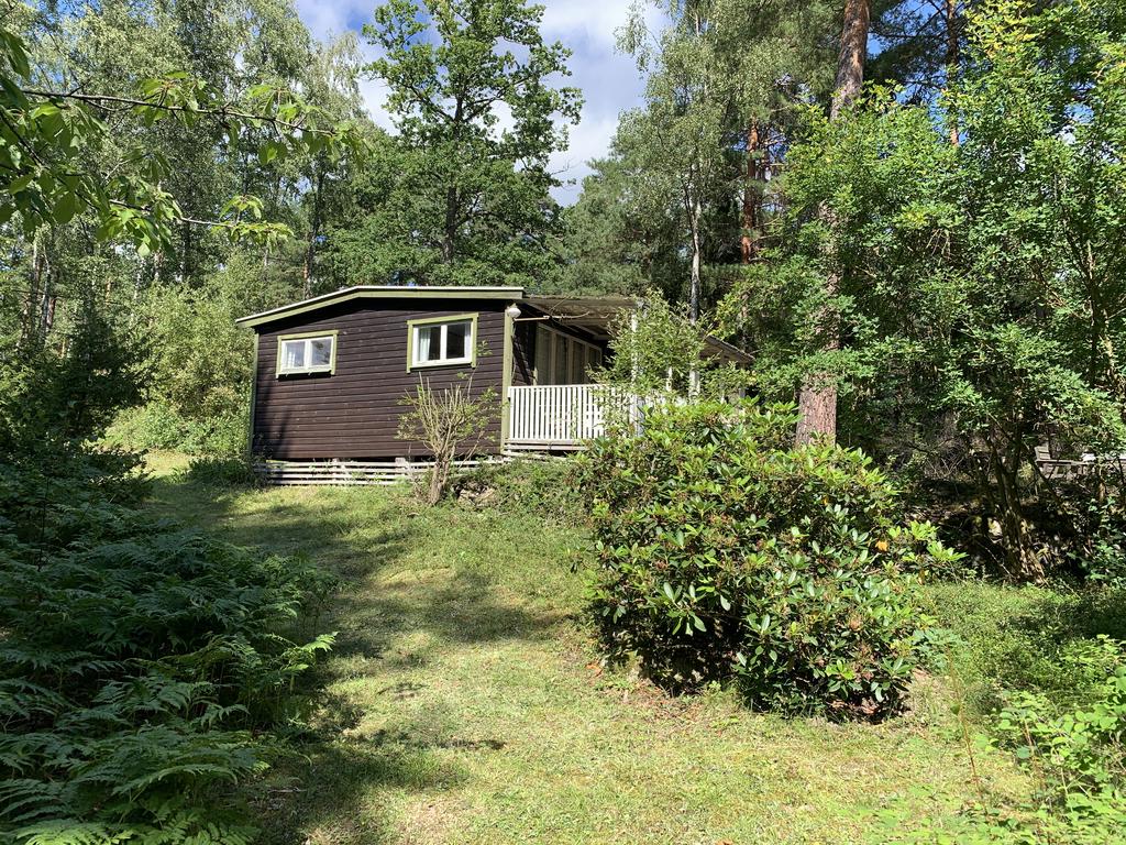 Säljarens sommarbild