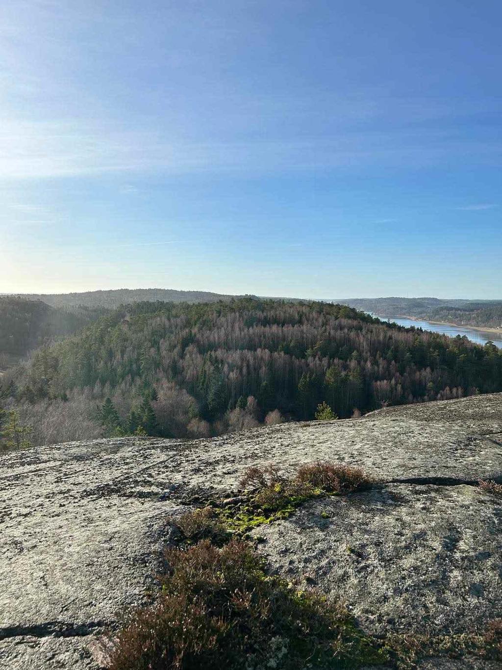 Bild från berget vid fastigheten