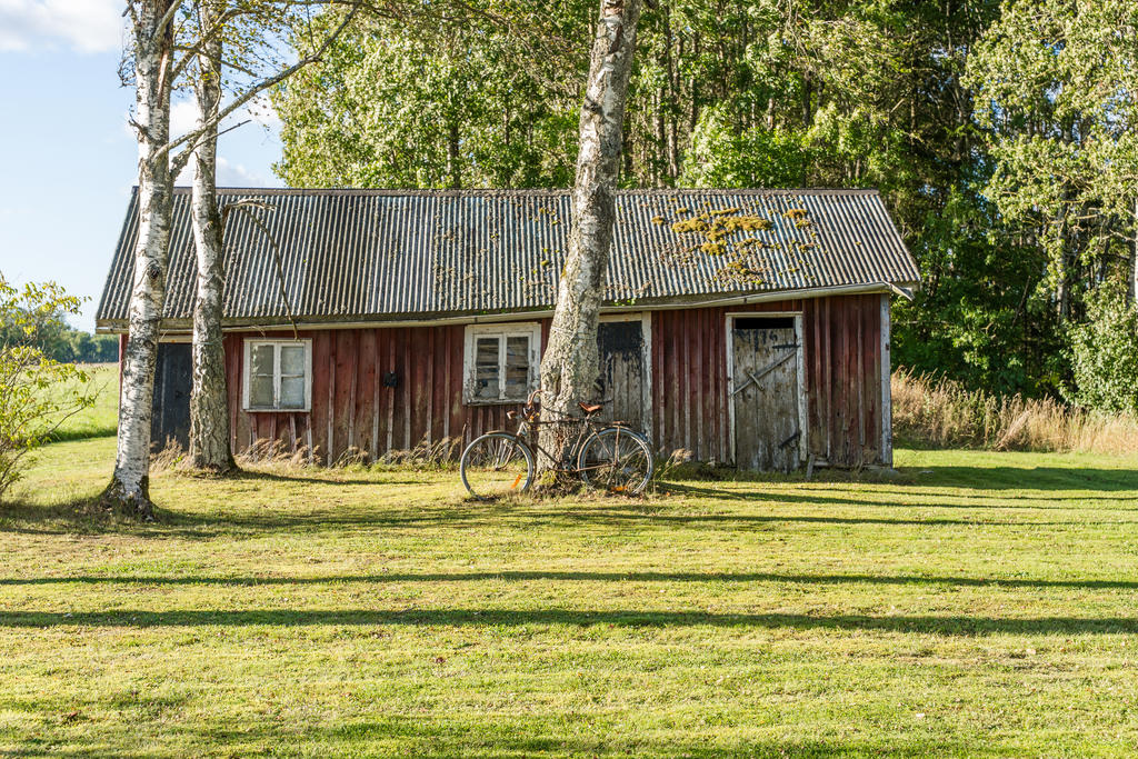 Äldre uthus. 