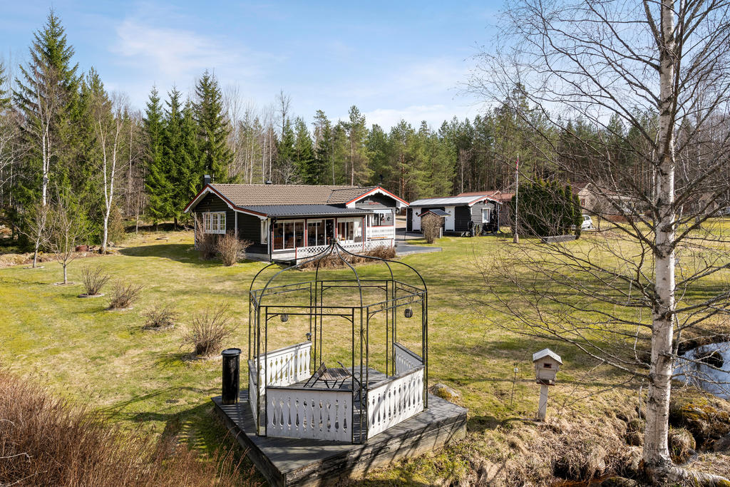 Trädgård
