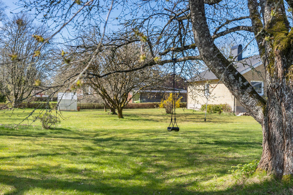 Stora lekytor eller perfekt för den som vill odla. 