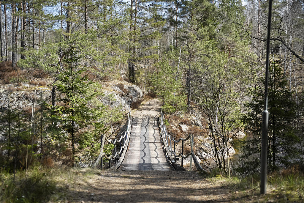 Hängbro i trä som tidigare fungerade som bilväg fram till fastigheten. 
