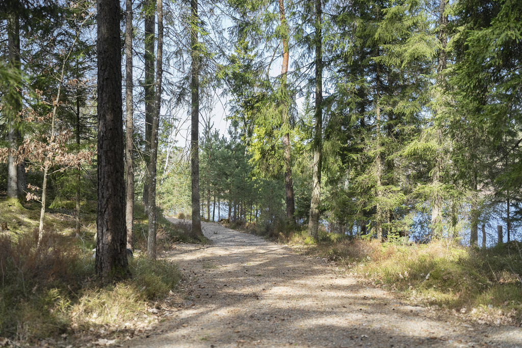 Fina vägar runt om på fastigheten. 