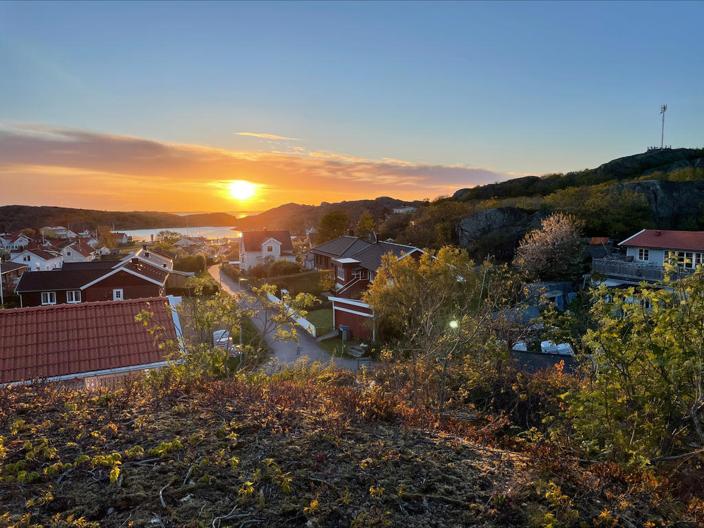 Solnedgången tagen uppe på berget bakom huset.