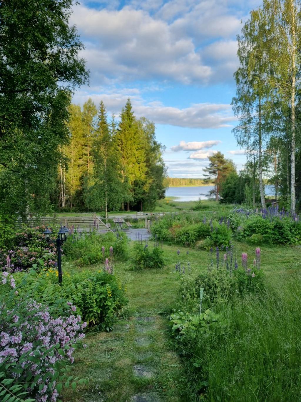 Vacker växtlighet