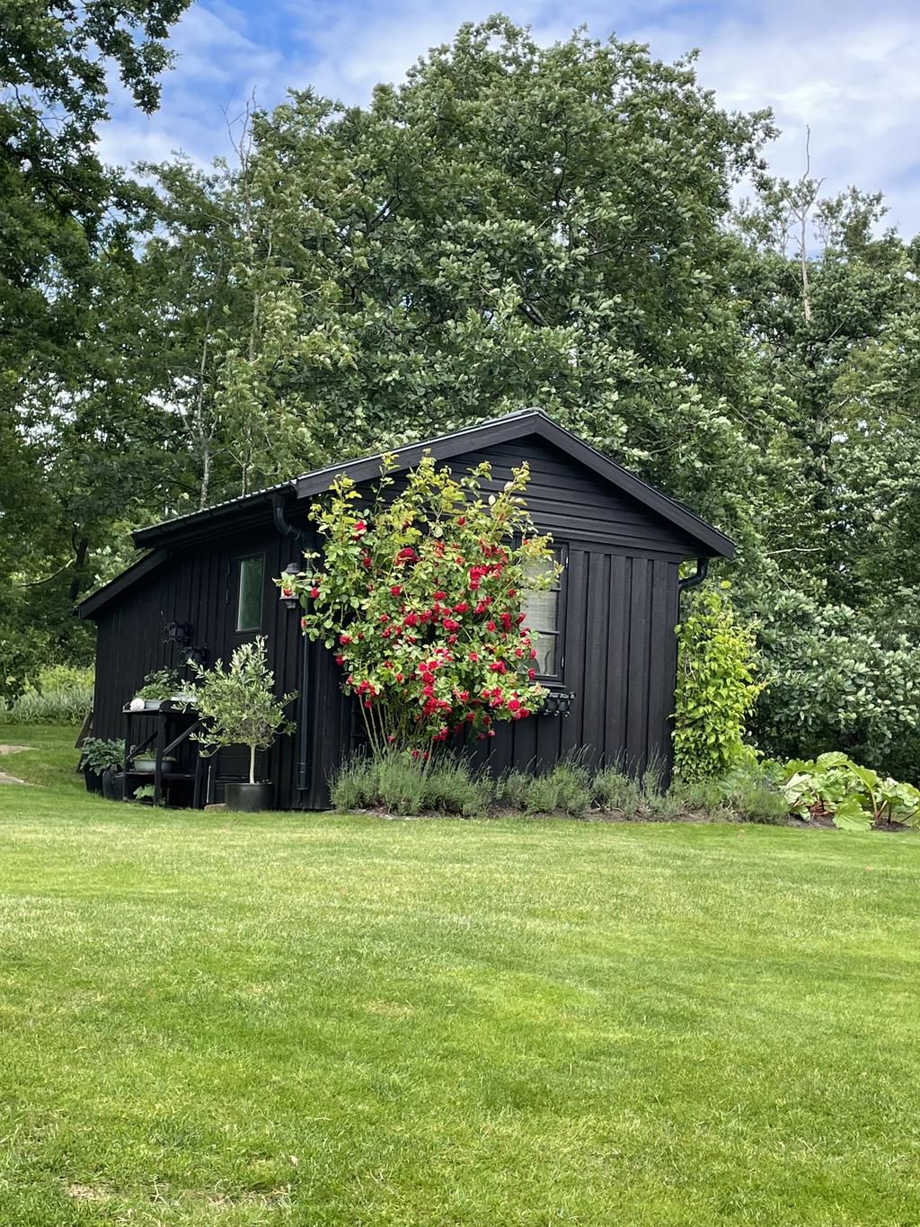 Säljarens trädgårdsbild
