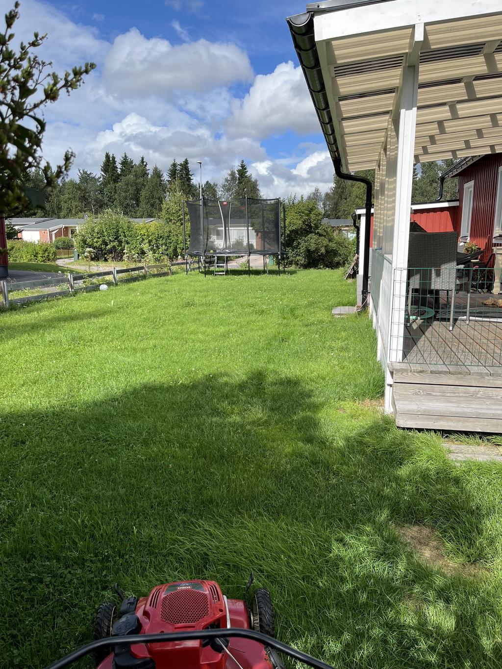 Säljarens sommarbild