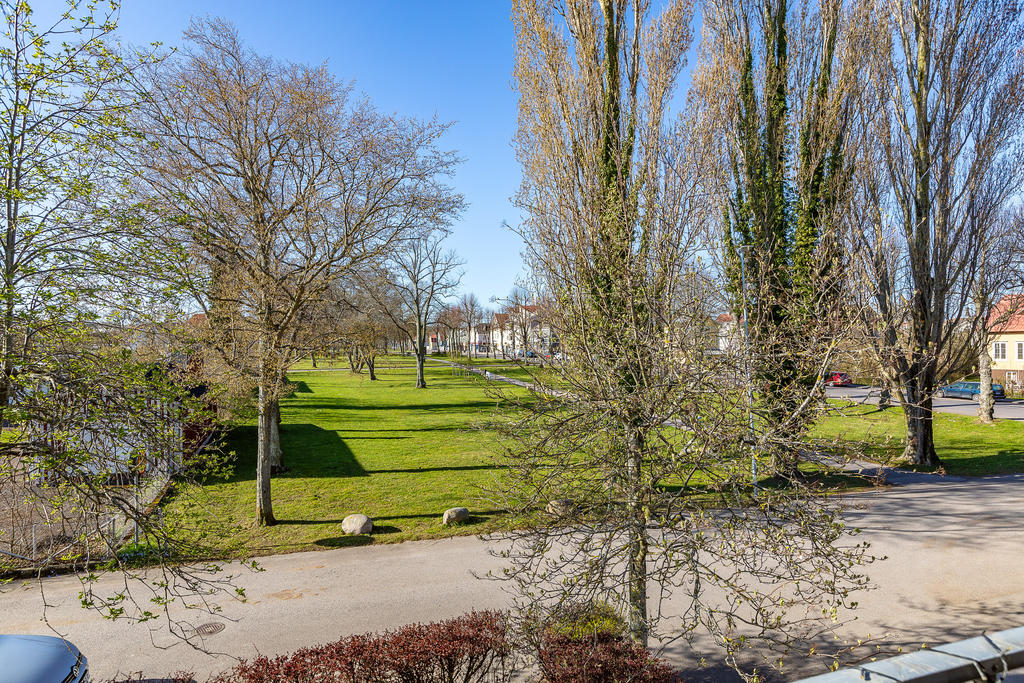 Utsikten mot parken ifrån balkongen. Söderläge!