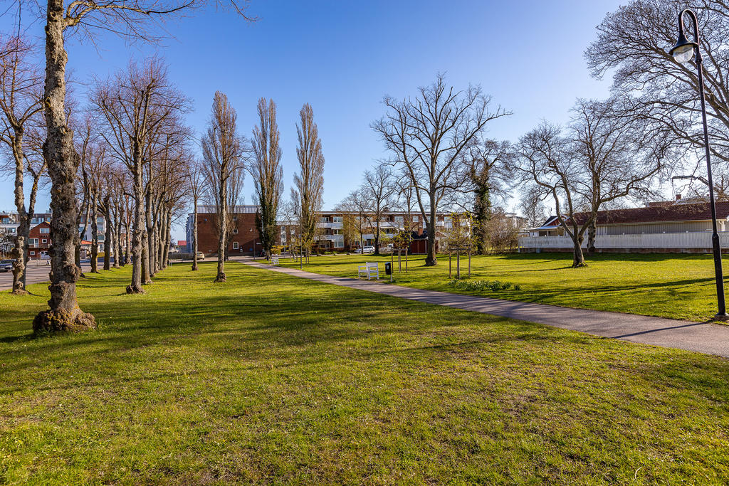 Vacker parkmiljö utanför bostaden