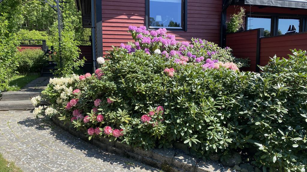 Säljarens egna bild.