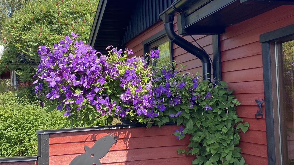 Säljarens egna bild.