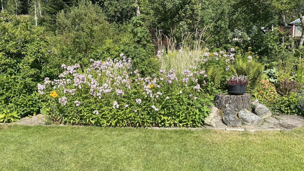 Säljarens egna bild.