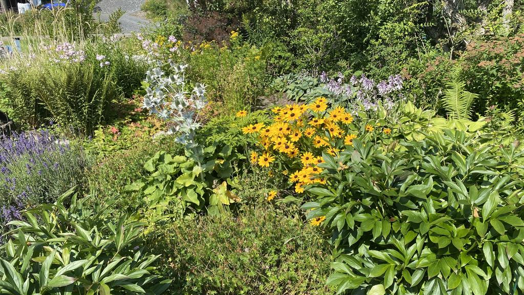 Säljarens egna bild.