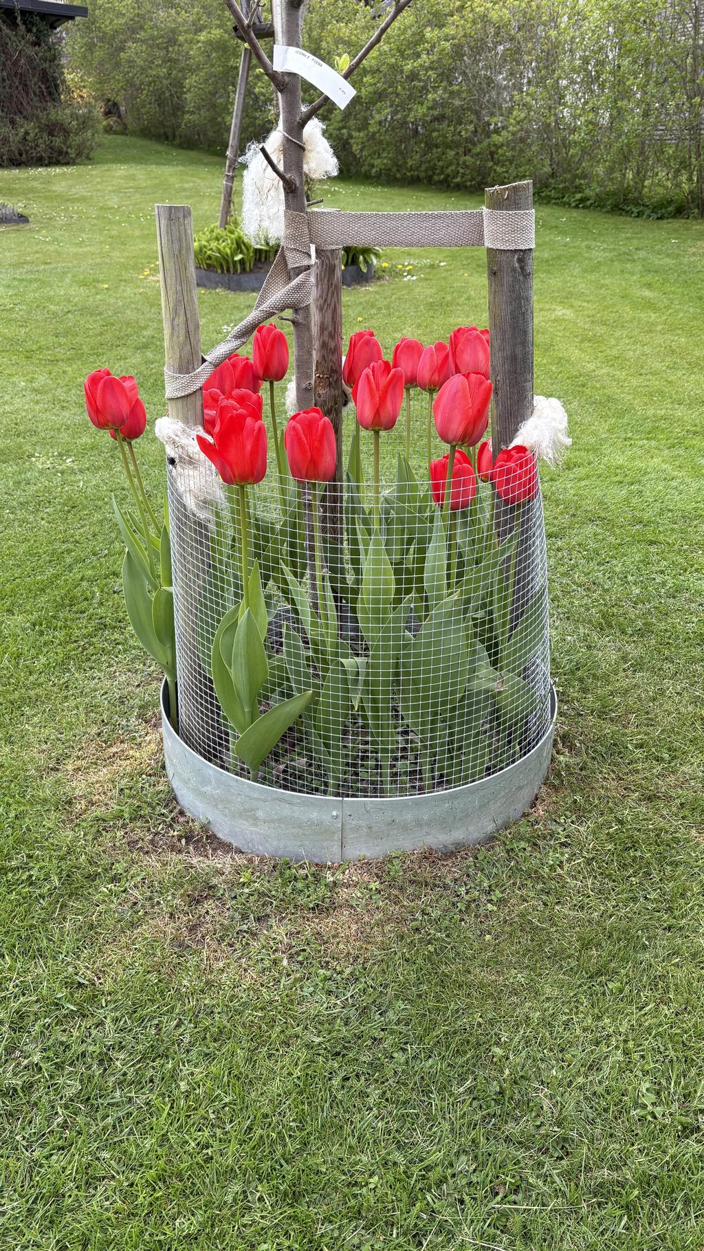 Säljarens egna bild.