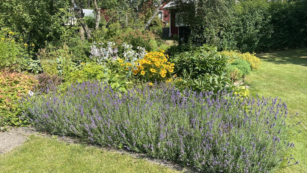 Säljarens egna bild.