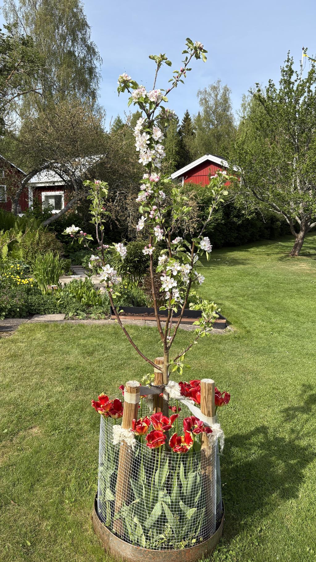 Säljarens egna bild.