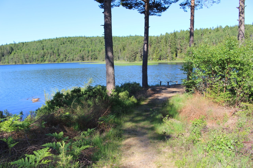 Här nere kan morgondoppet tas