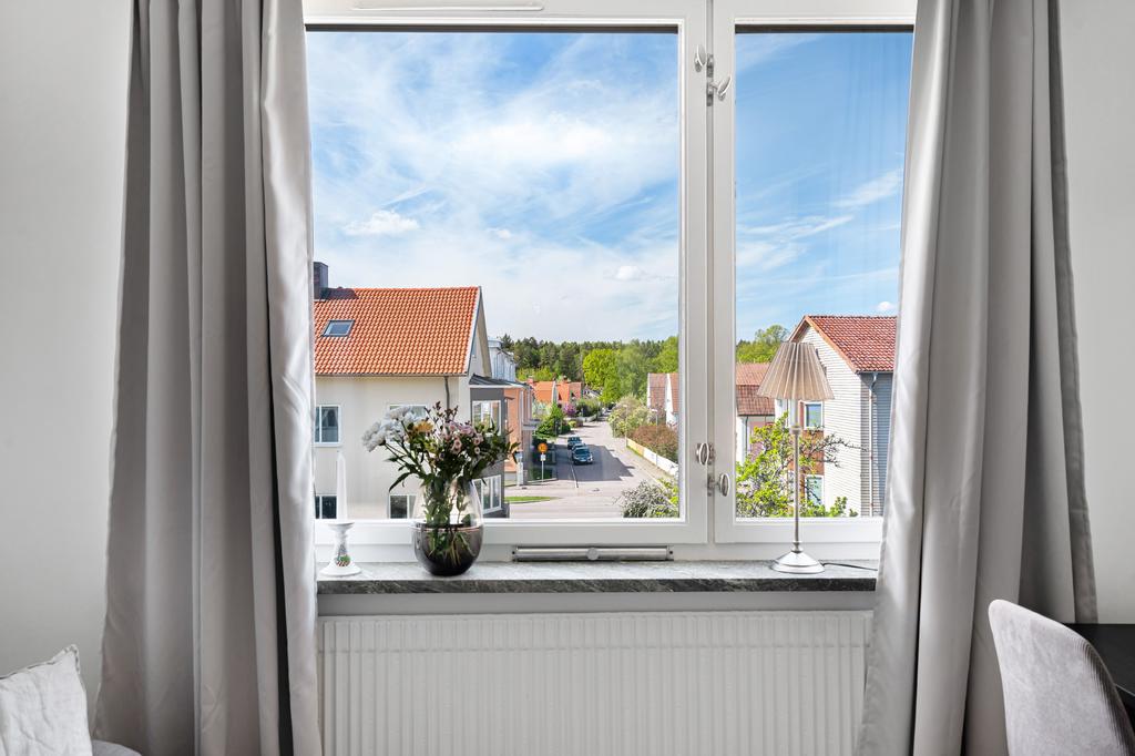 Utsikt från rummet över takåsarna 