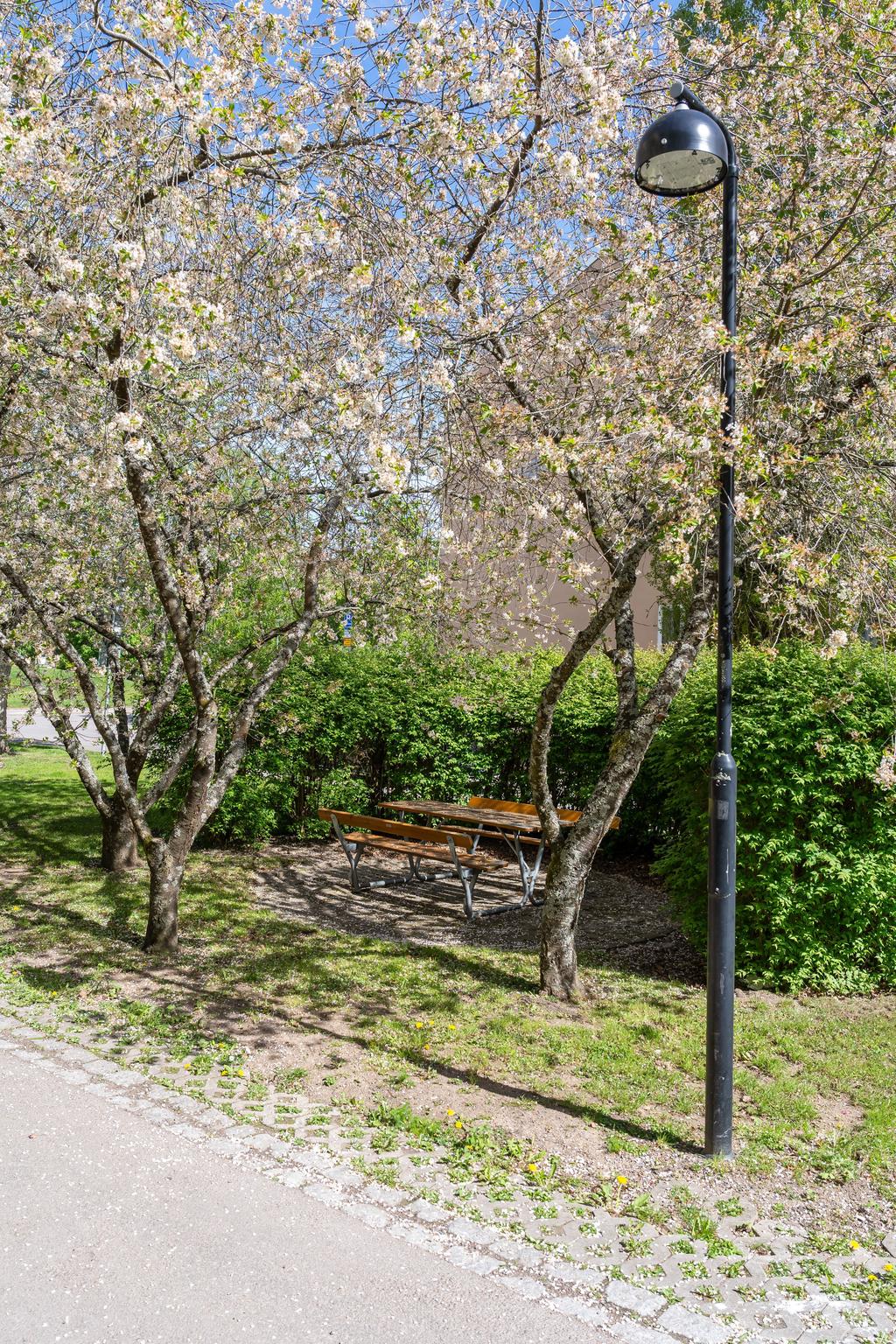 Mysig uteplats utanför dörren 