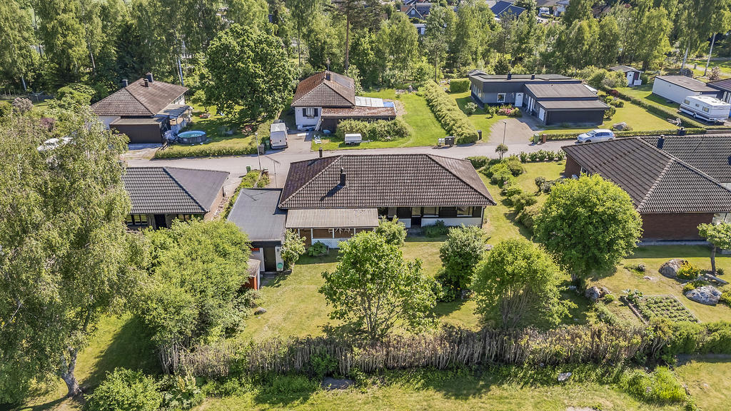 Lummig och grön baksida