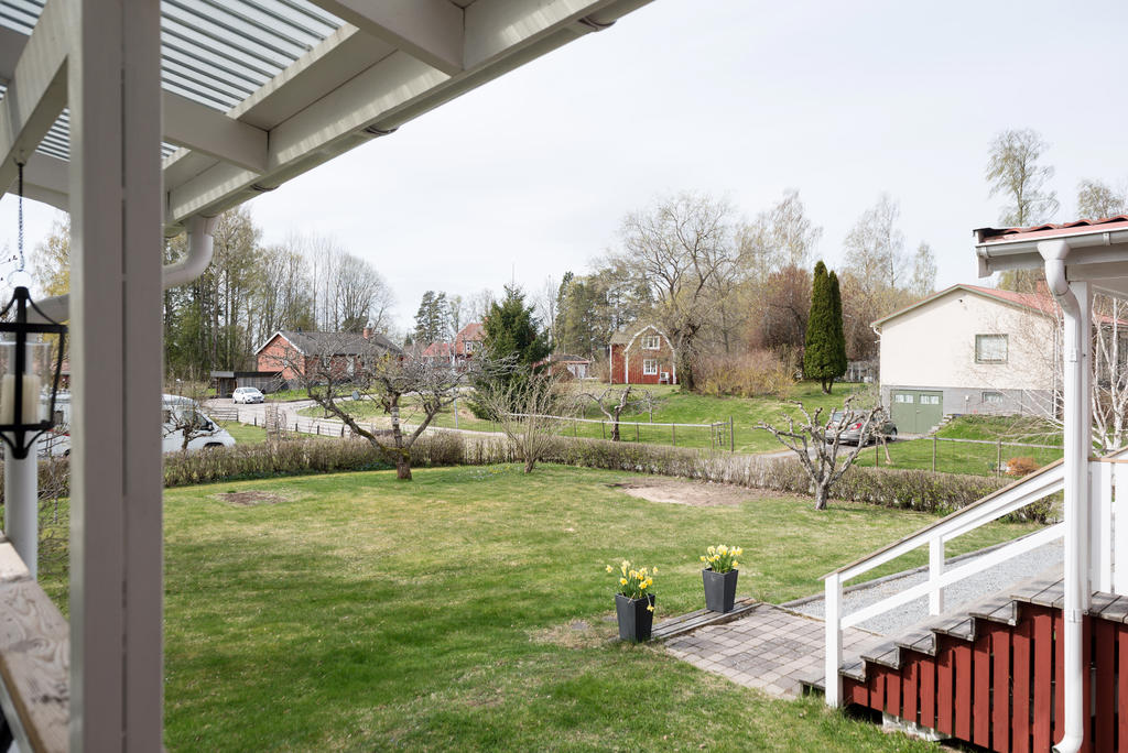Trädgård.