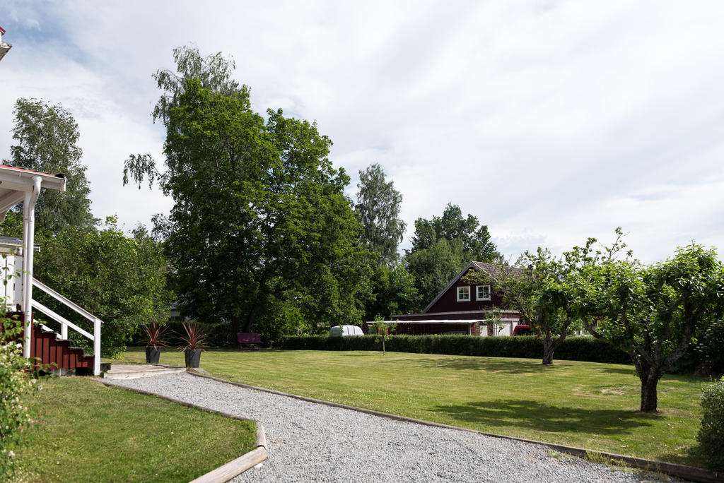Trädgård.