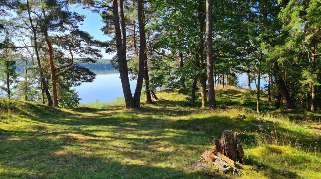 Sommaridyll på Bokö ute på Mjörn