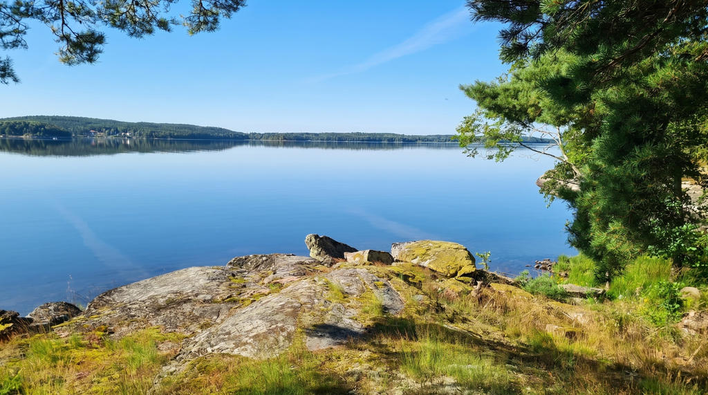 Bada från klipporna.